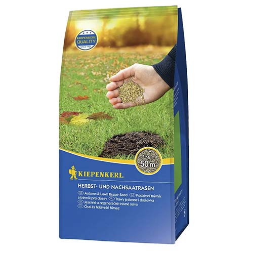 Sēklas rudens zālieniem un zāliena pārstādīšanai interface.image 1 interface.art 96888