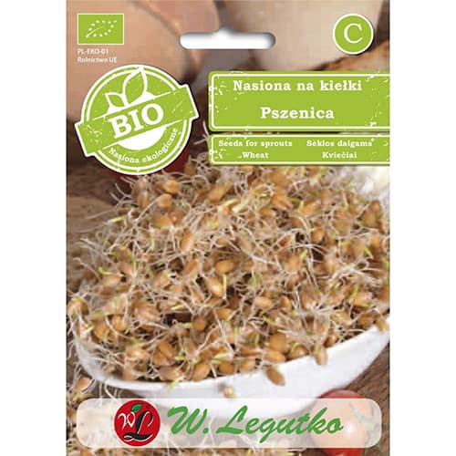 Sēklu dīgšana - kvieši interface.image 1 interface.art 86683