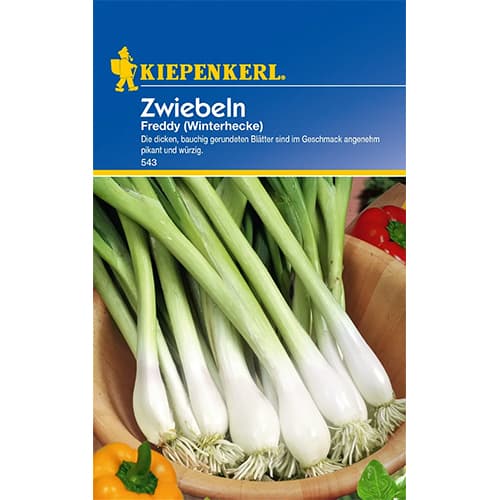 Septiņgadīgi sīpoli Freddy Winterhecke interface.image 1 interface.art 77460