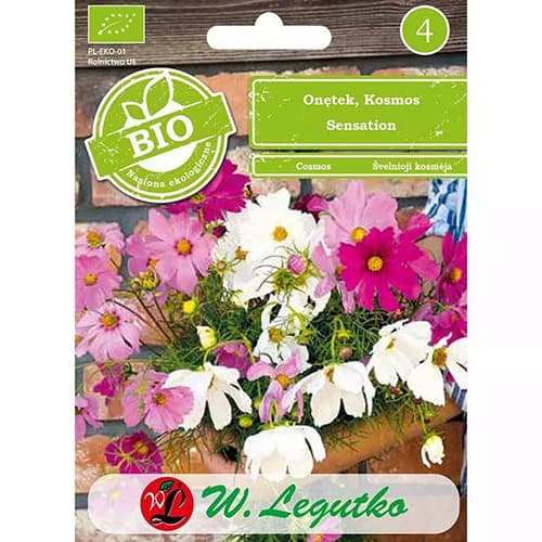 Sīpoli, Cosmos maisījums interface.image 1 interface.art 87085