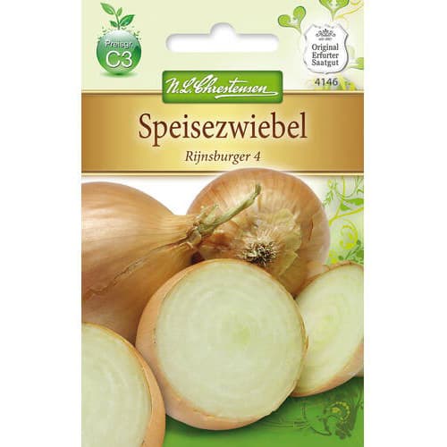 Sīpoli Rijnsburger 4 interface.image 1 interface.art 78757