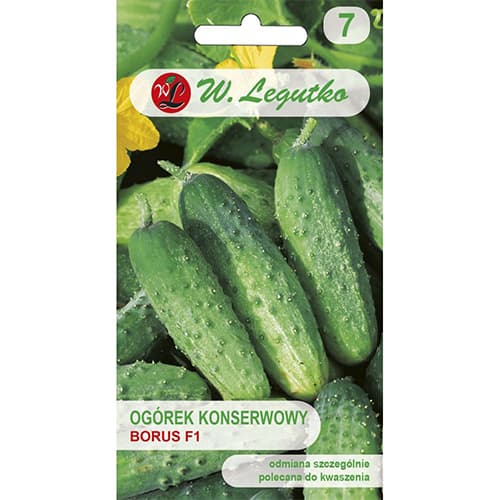 Skābie gurķi Borus F1 interface.image 1 interface.art 86882