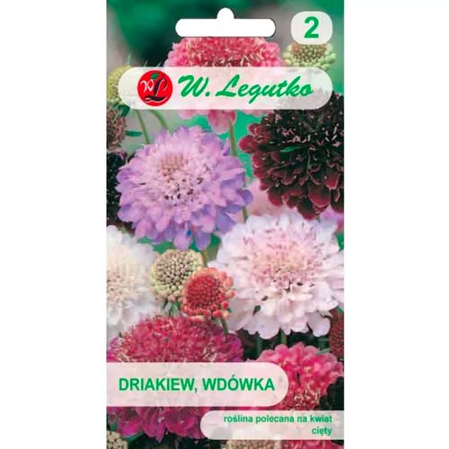 Skabiozas Wdowka, maisījums Legutko interface.image 1 interface.art 96698