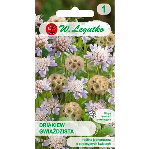 Skabiozas žvaigždėtas, maisījums Legutko interface.image 1 interface.art 96697