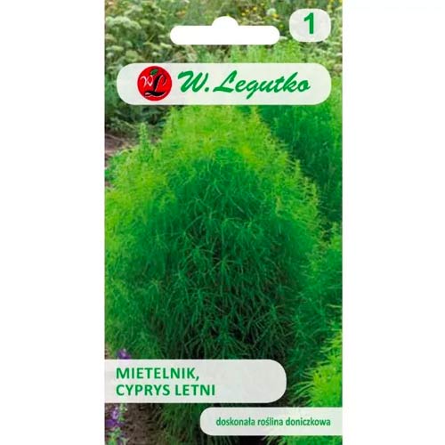 Skotu košenelis (Kochia scoparia) Legutko interface.image 1 interface.art 78580