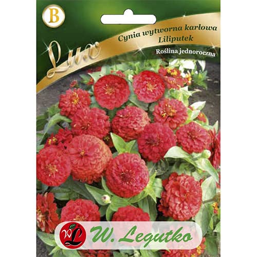 Smalkas pundurziedes zinnijas Liliputek krāsā interface.image 1 interface.art 78662