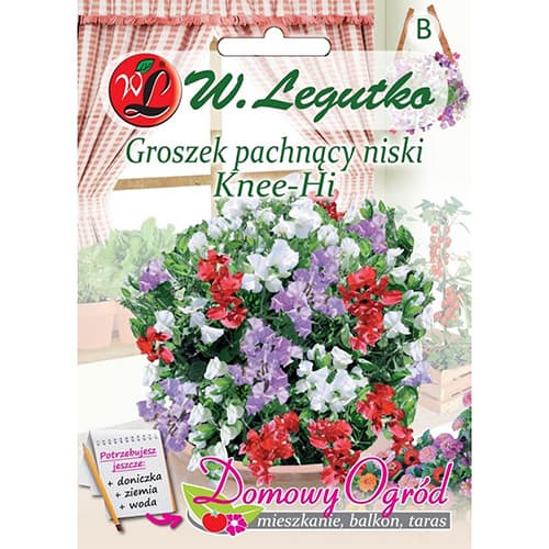 Smaržīgie zirņi Knee-Hi mix interface.image 1 interface.art 69642