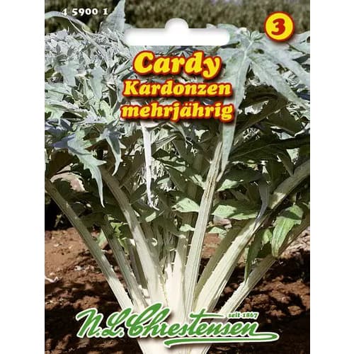 Spānijas artišoki interface.image 1 interface.art 96468