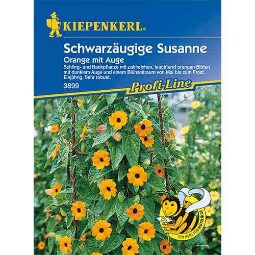 Spārnotās tunbergijas Orange mit Auge interface.image 1 interface.art 86311