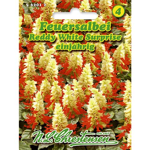 Spilgtā salvija Reddy White Surprise interface.image 1 interface.art 86185