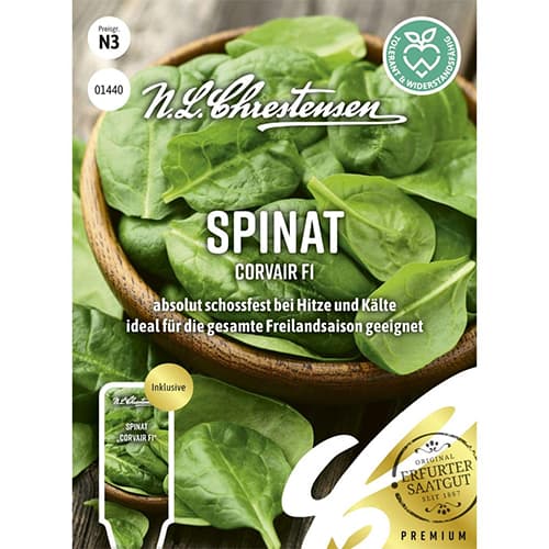 Spināti Corvair F1 Chrestensen interface.image 1 interface.art 96497