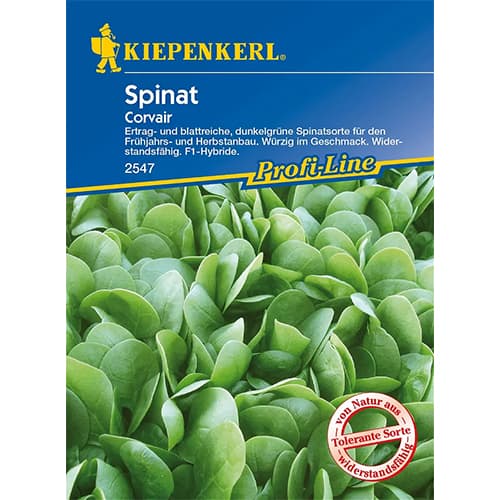 Spināti Corvair F1 Kiepenkerl interface.image 1 interface.art 86533