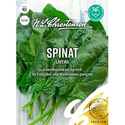 Spināti Lavewa Chrestensen interface.image 1 interface.art 50055