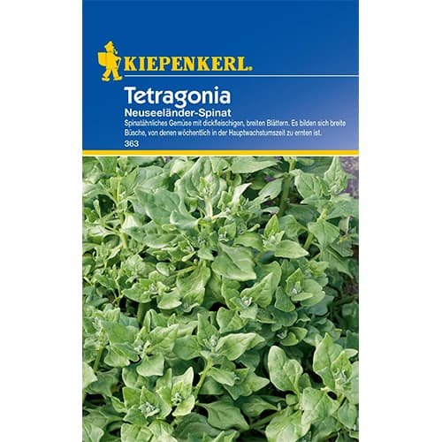 Spināti Tetragonia interface.image 1 interface.art 77497