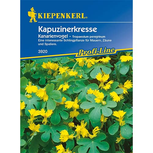 Svešzemju kreses dzeltenā krāsā interface.image 1 interface.art 86274