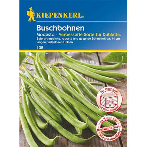 Sviesta pupiņas Modesto interface.image 1 interface.art 96602