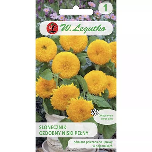 Teddy Bear pilns punduris Saulespuķes interface.image 1 interface.art 69629