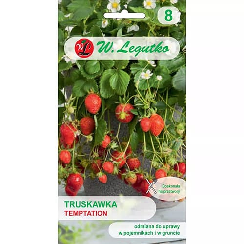 Temptation zemenes interface.image 1 interface.art 69548