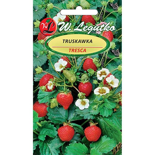 Tresca zemenes interface.image 1 interface.art 86914