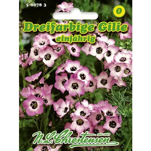 Trīskrāsu gilija interface.image 1 interface.art 96458