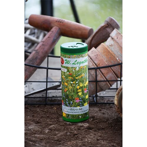 Tuba - idillisks vasaras ziedu un dekoratīvo zālienu vasaras maisījums interface.image 1 interface.art 96802