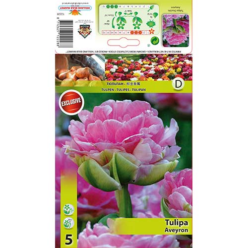 Tulpju Aveyron interface.image 1 interface.art 68075