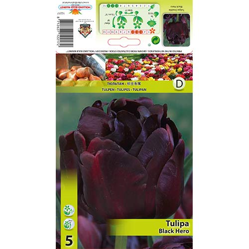 Tulpes pildītās Black Hero interface.image 1 interface.art 67455