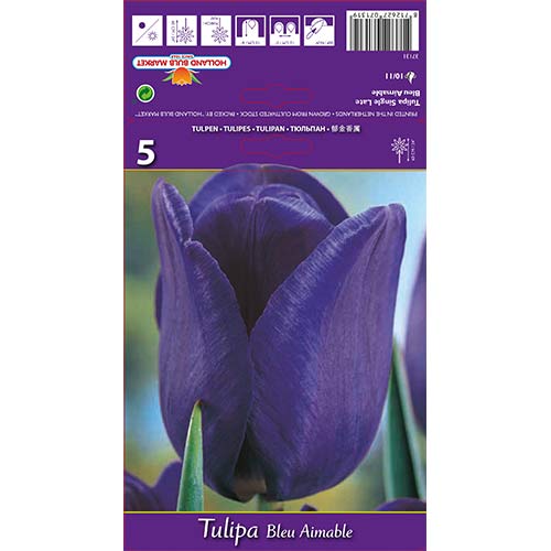 Tulpes Triumph Blue Aimable interface.image 1 interface.art 67705
