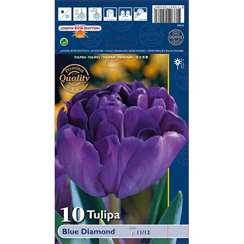 Tulpes pildītās Blue Diamond interface.image 1 interface.art 67769