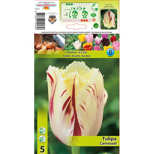 Tulpju Carrousel interface.image 1 interface.art 70298