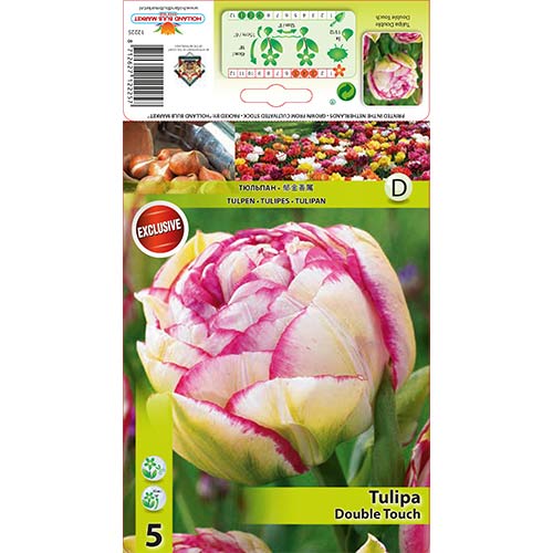 Tulpes pildītās Double Touch interface.image 1 interface.art 67458