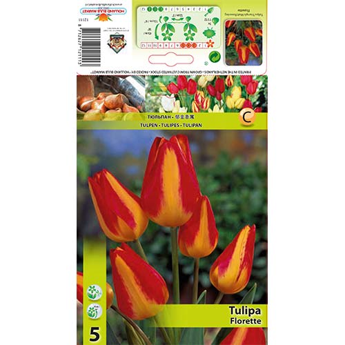 Tulpes Florette interface.image 1 interface.art 70305