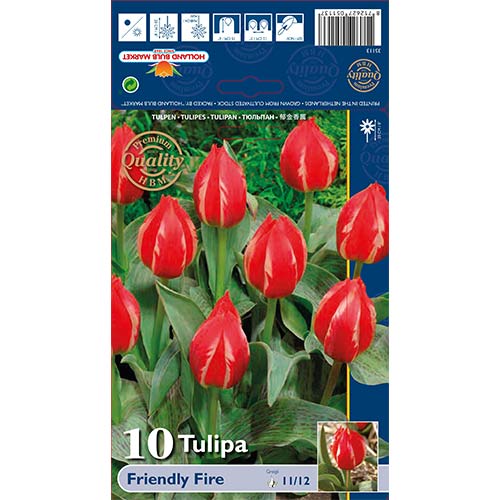 Tulpes Greiga Friendly Fire interface.image 1 interface.art 70264