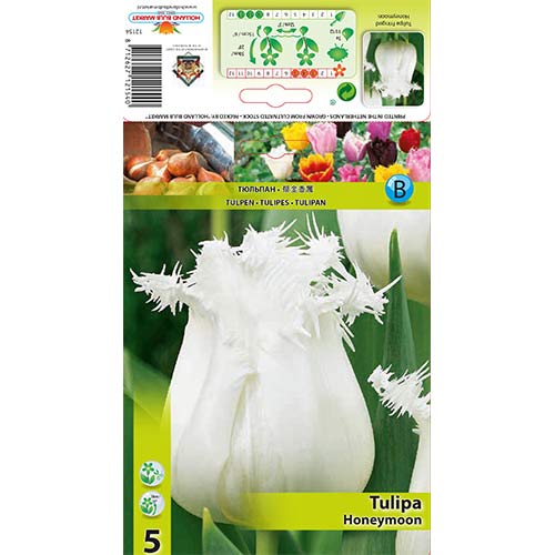 Tulpju Honeymoon interface.image 1 interface.art 68078