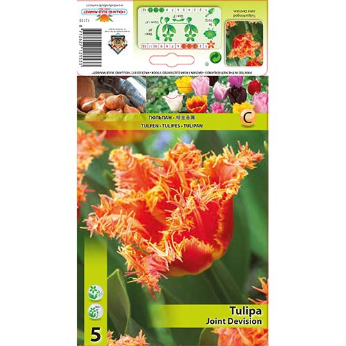 Tulpju Joint Devision interface.image 1 interface.art 70290