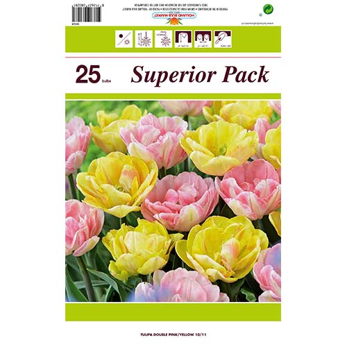 Lielisks piedāvājums! Tulpes, komplektā 2 šķirnes interface.image 1 interface.art 70316