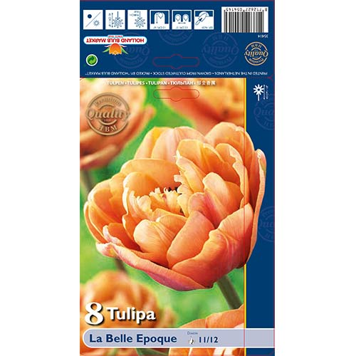 Tulpju La Belle Epoque interface.image 1 interface.art 70254