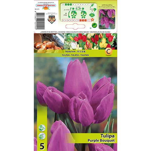 Tulpes Triumph Purple Bouquet interface.image 1 interface.art 67809