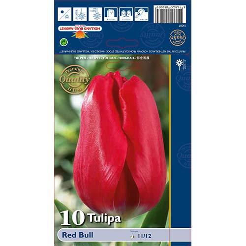 Tulpes Triumph Red Bull interface.image 1 interface.art 70261