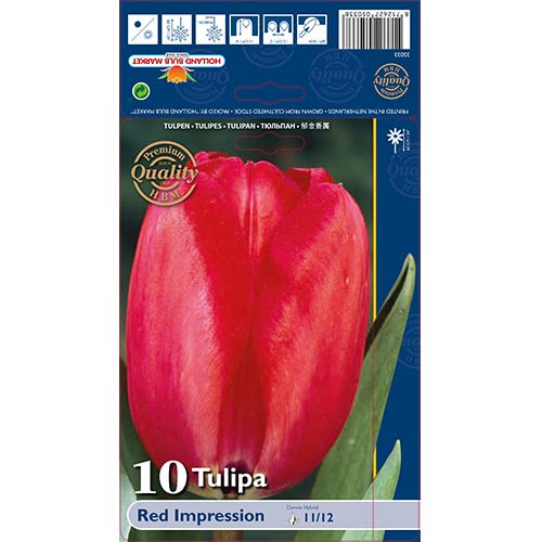 Tulpes Darvina Red Impression interface.image 1 interface.art 67813