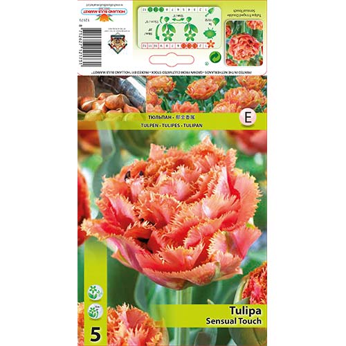 Tulpju Sensual Touch interface.image 1 interface.art 67831