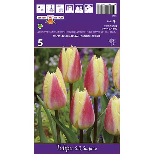 Tulpes Triumph Silk Surprise interface.image 1 interface.art 68117