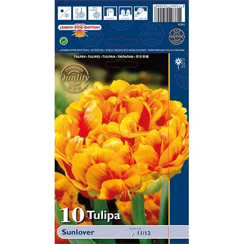 Tulpes pildītās Sunlover interface.image 1 interface.art 68042