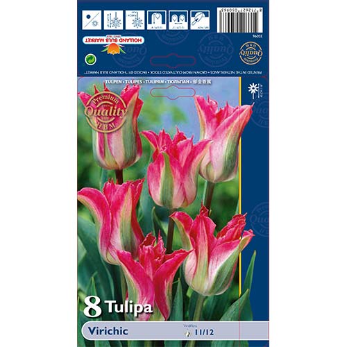 Tulpes dārza Virichic interface.image 1 interface.art 67712
