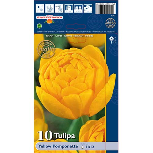 Tulpes pildītās Yellow Pomponette interface.image 1 interface.art 67733