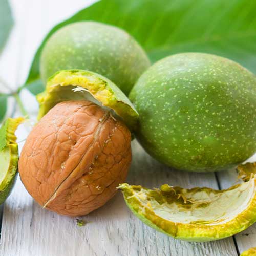 Valrieksts Chandler, С2 interface.image 1 interface.art 7041