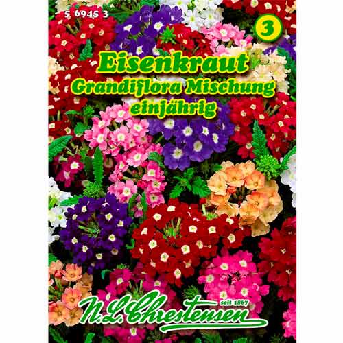 Verbena, maisījums Chrestensen interface.image 1 interface.art 50035