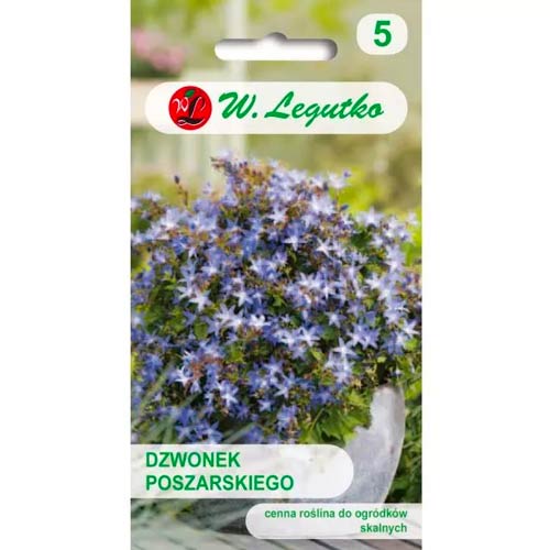 Vidējās pulkstenītes Poszarskiego Legutko interface.image 1 interface.art 50097