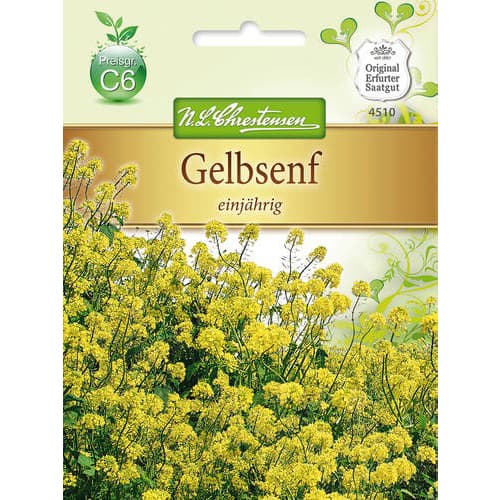 Viengadīgas dzeltenās sinepes interface.image 1 interface.art 78877