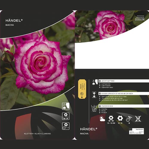 Vīteņroze Händel ®, С3 interface.image 3 interface.art 6179